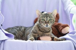 Foto von Leyla