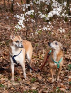 Foto von Fee und Emily