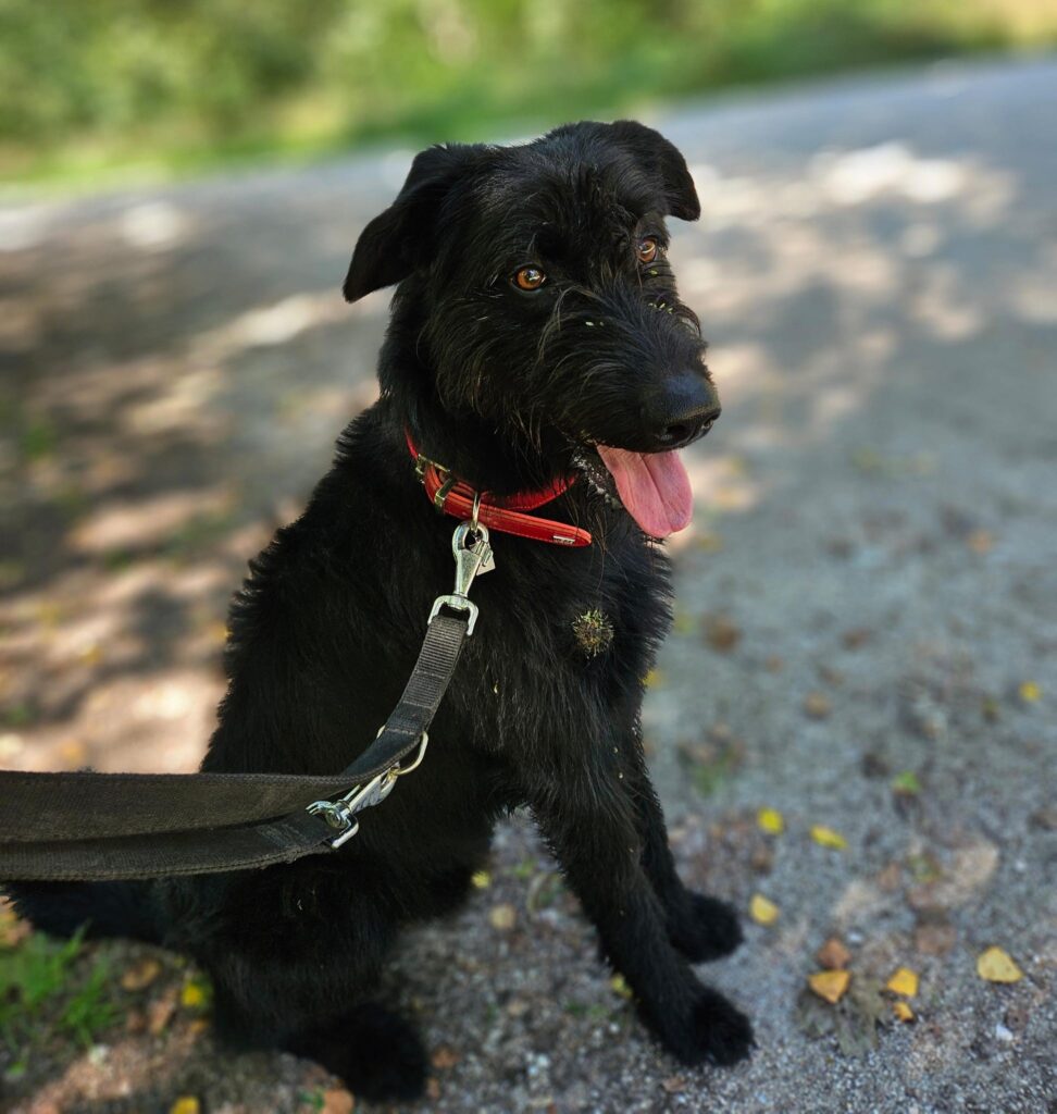 Foto von Samy