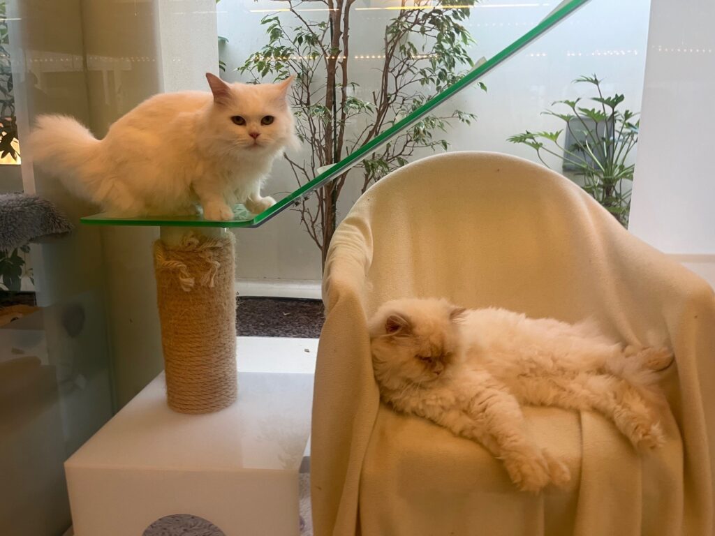 Foto von Belle und Earl