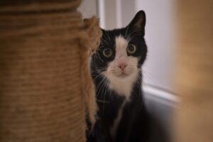 Foto von Ken und Tinkerbelle