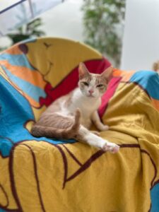 Foto von Aldi