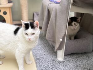 Foto von Bobby und Mausi