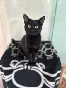 Foto von Nacho