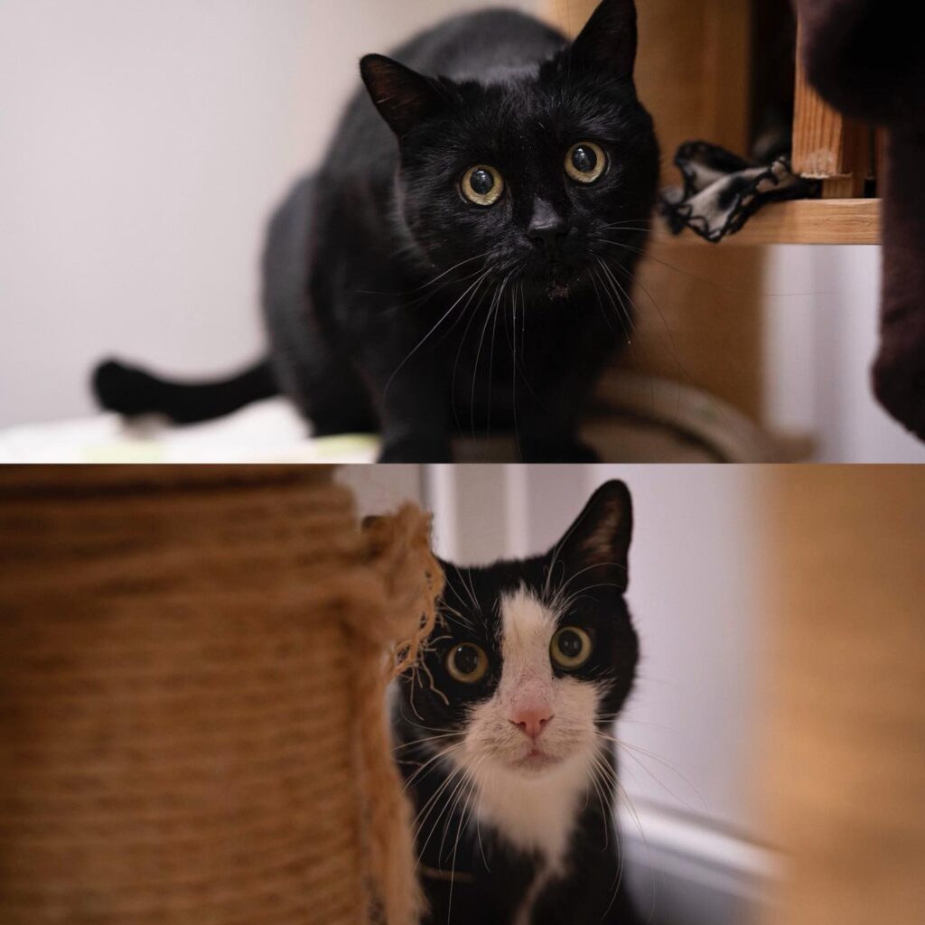 Foto von Ken und Tinkerbelle