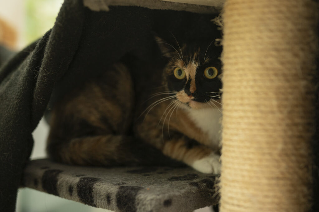 Foto von Vanity