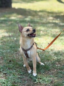 Foto von Finley