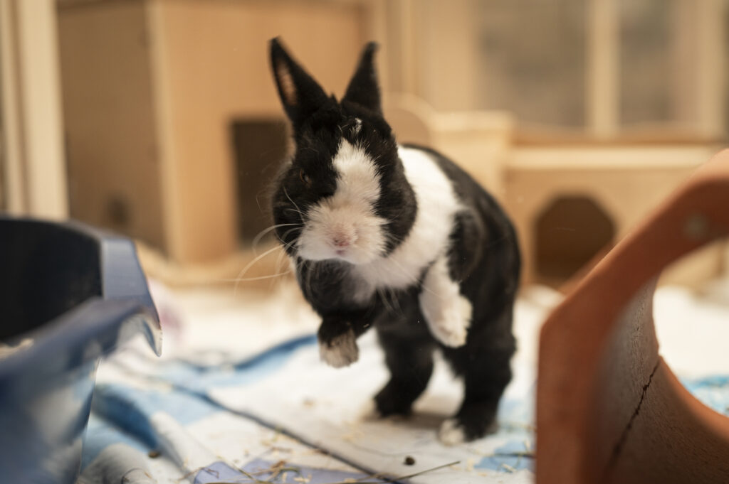 Foto von Opa Olaf