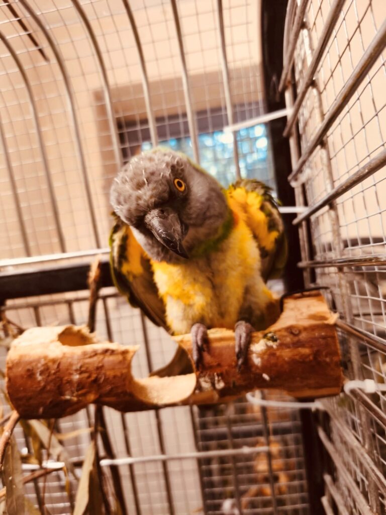 Foto von Pari