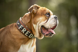 Foto von Freddy