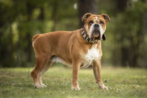 Foto von Freddy