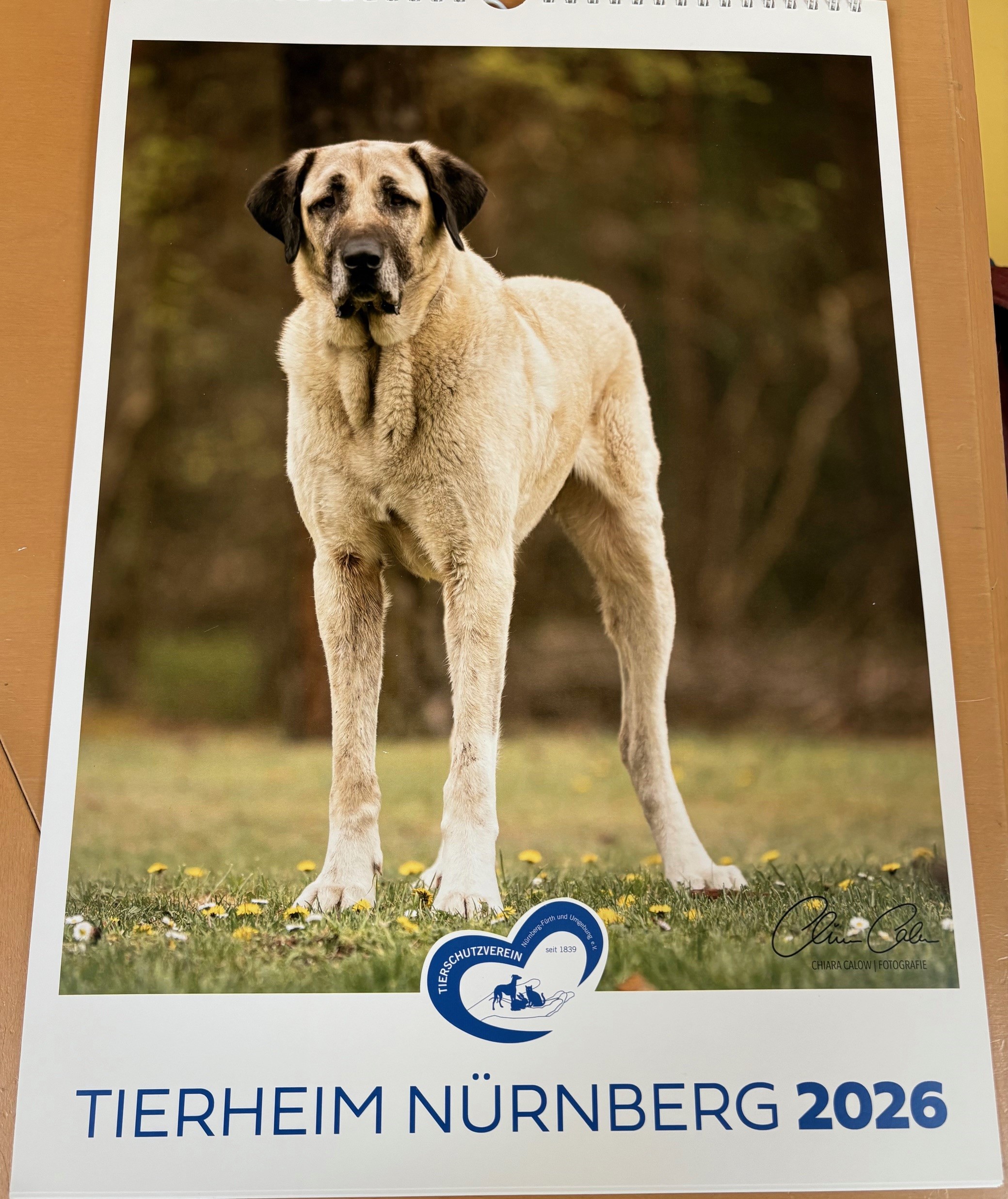 Kalender26