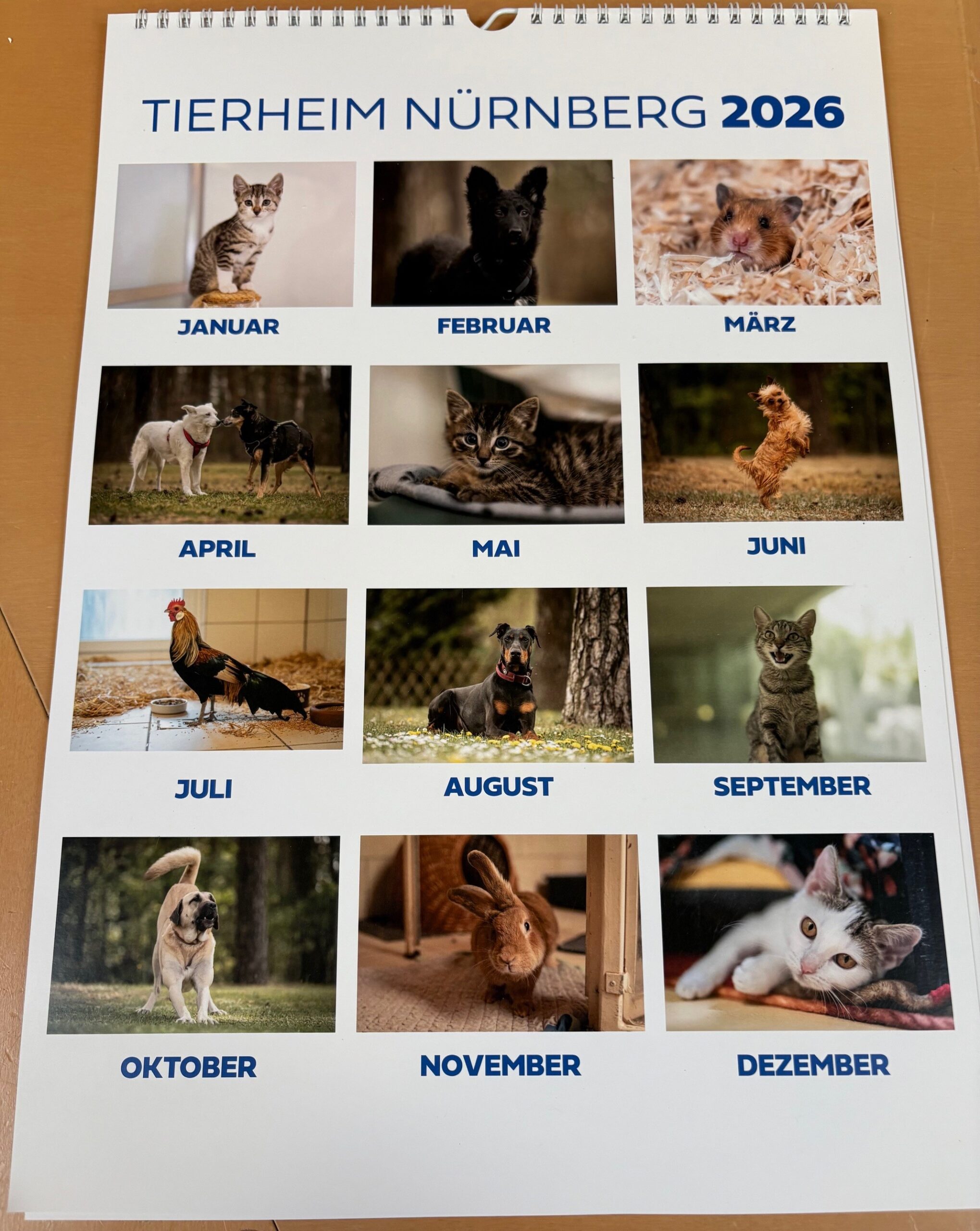 Kalender26_1