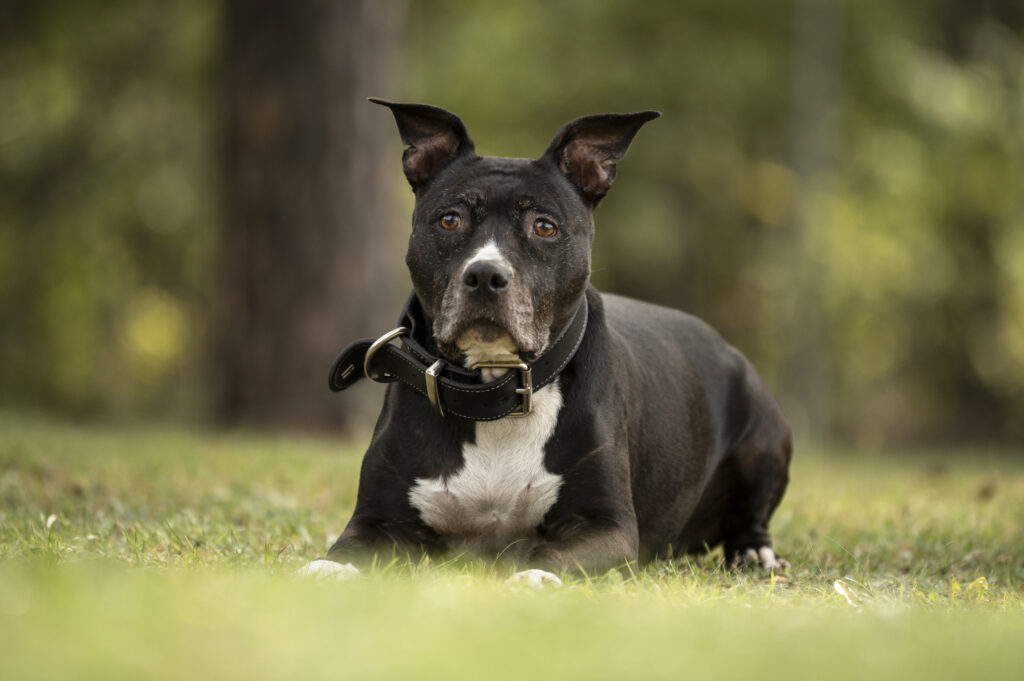 Foto von Polly Foto von Polly