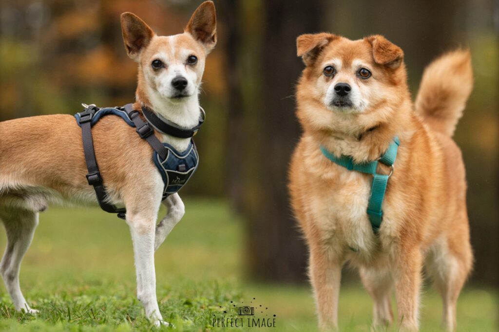 Foto von Melodie und Samuel