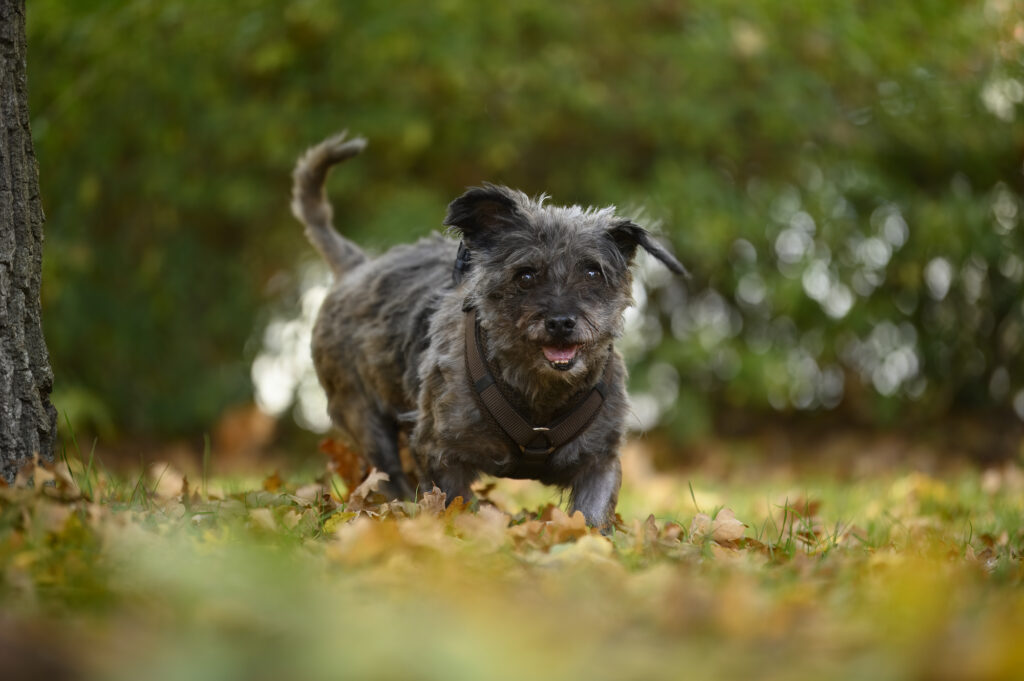 Foto von Soni Foto von Soni