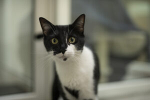 Foto von Filo und Charlie