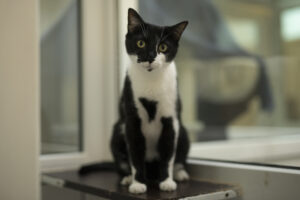 Foto von Filo und Charlie