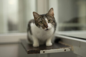 Foto von Filo und Charlie