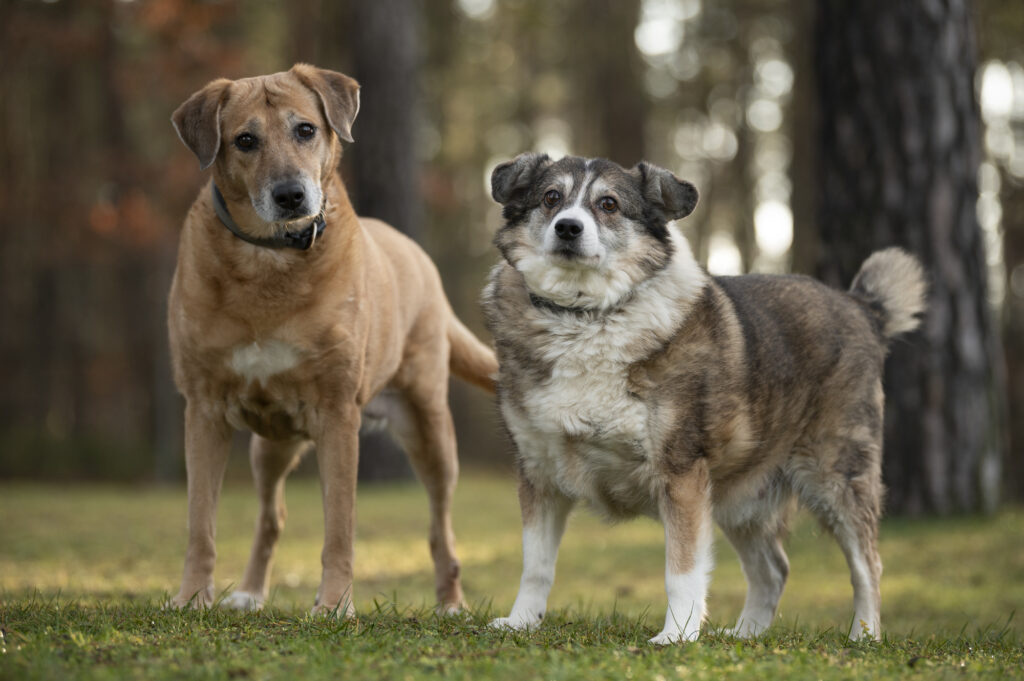 Foto von Benny und Sandy
