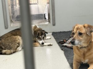 Foto von Benny und Sandy