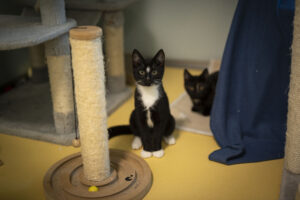 Foto von Gregor und Luca