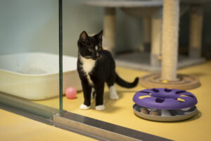 Foto von Gregor und Luca