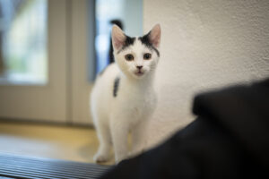 Foto von Gregor und Luca