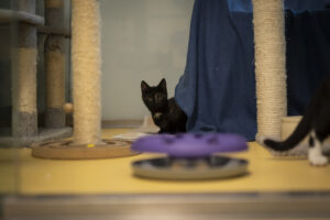 Foto von Gregor und Luca