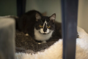 Foto von Phio und Schnurrsula