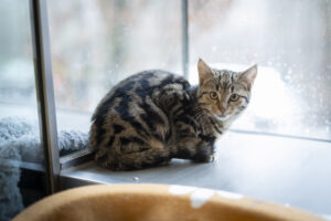 Foto von Phio und Schnurrsula