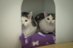 Foto von Wyona, Wednesday und Wario