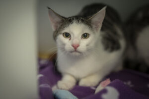 Foto von Wyona, Wednesday und Wario