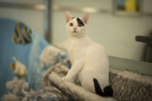 Foto von Smilla und Buddy