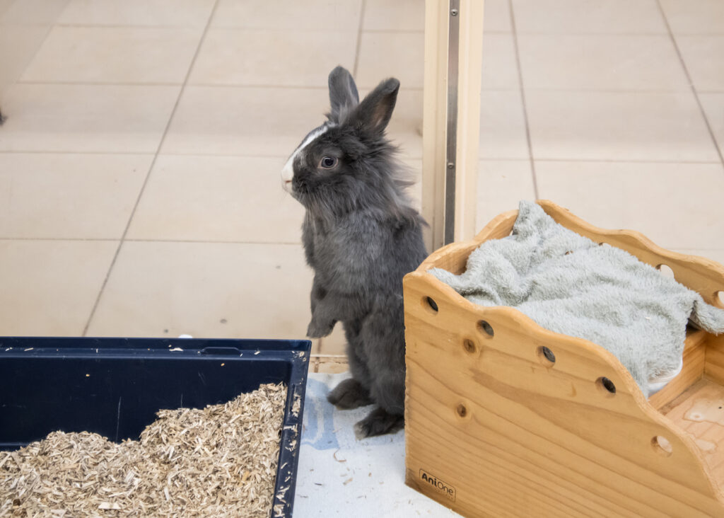 Foto von Pfeffer und Salz