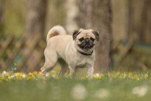 Foto von Isy