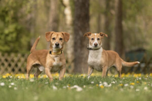 Foto von Ollye und Lisa