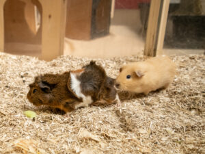 Foto von Brain und Colin