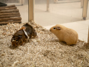 Foto von Brain und Colin