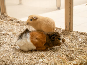 Foto von Brain und Colin