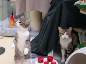 Foto von Riley und Viola