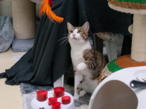 Foto von Riley und Viola
