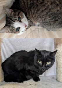 Foto von Susi und Franz