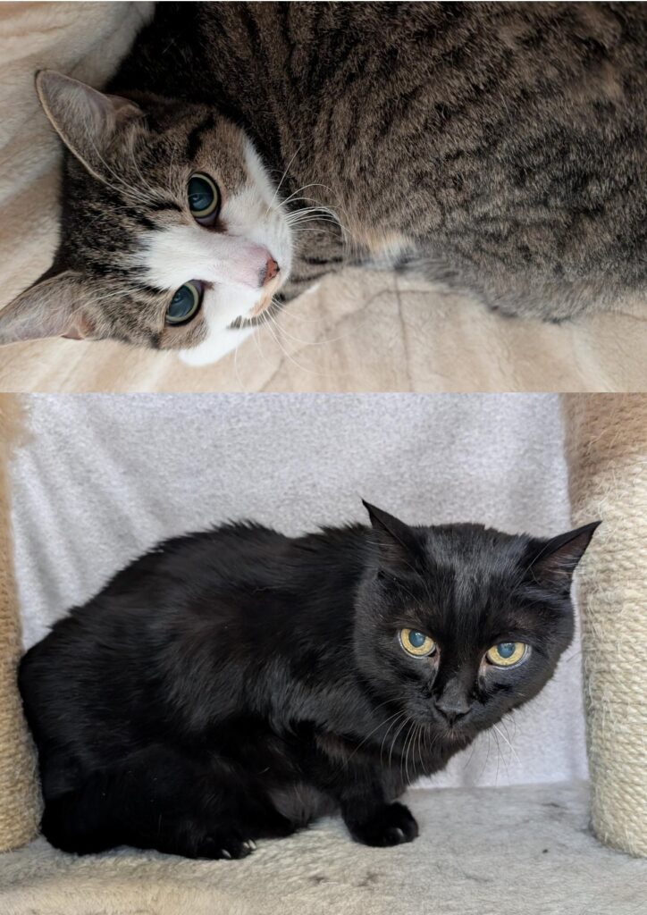 Foto von Susi und Franz