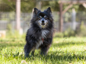 Foto von Lucky