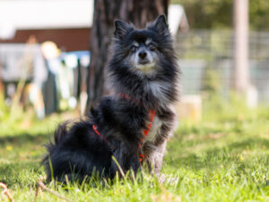 Foto von Lucky