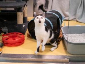 Foto von Tino und Henni