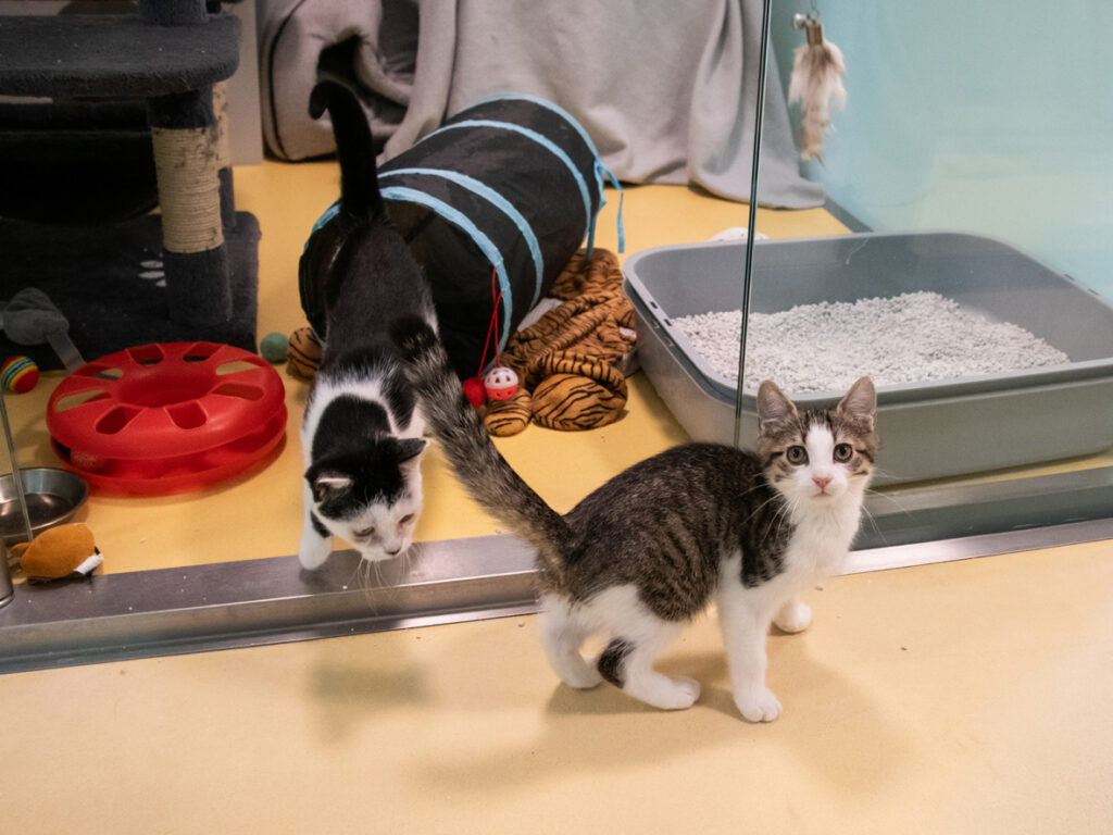 Foto von Tino und Henni